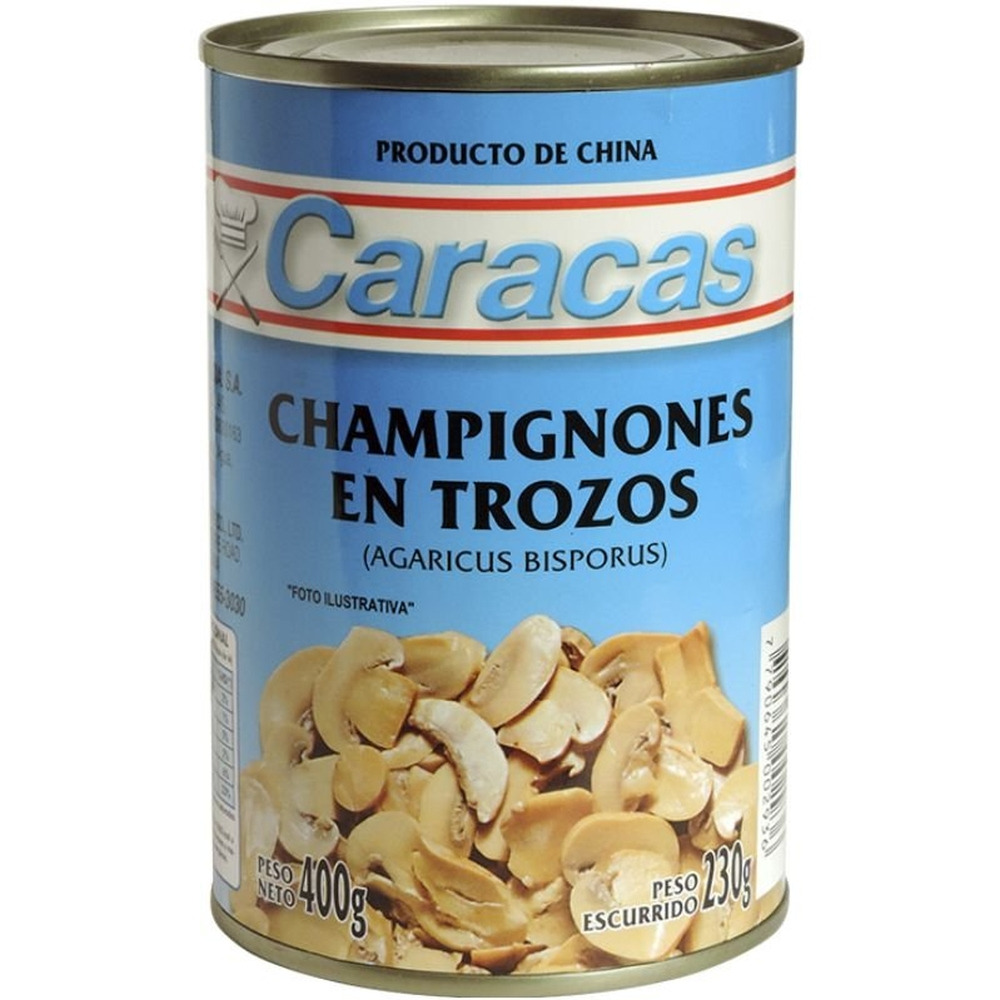 champignon-en-trozos-x-300-gr-inalpa-1360
