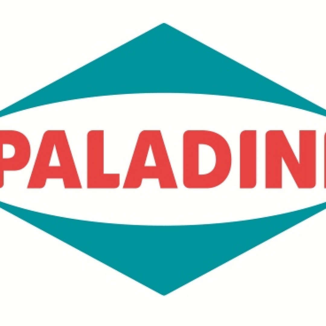 bacon-x-150-gr-paladini-500